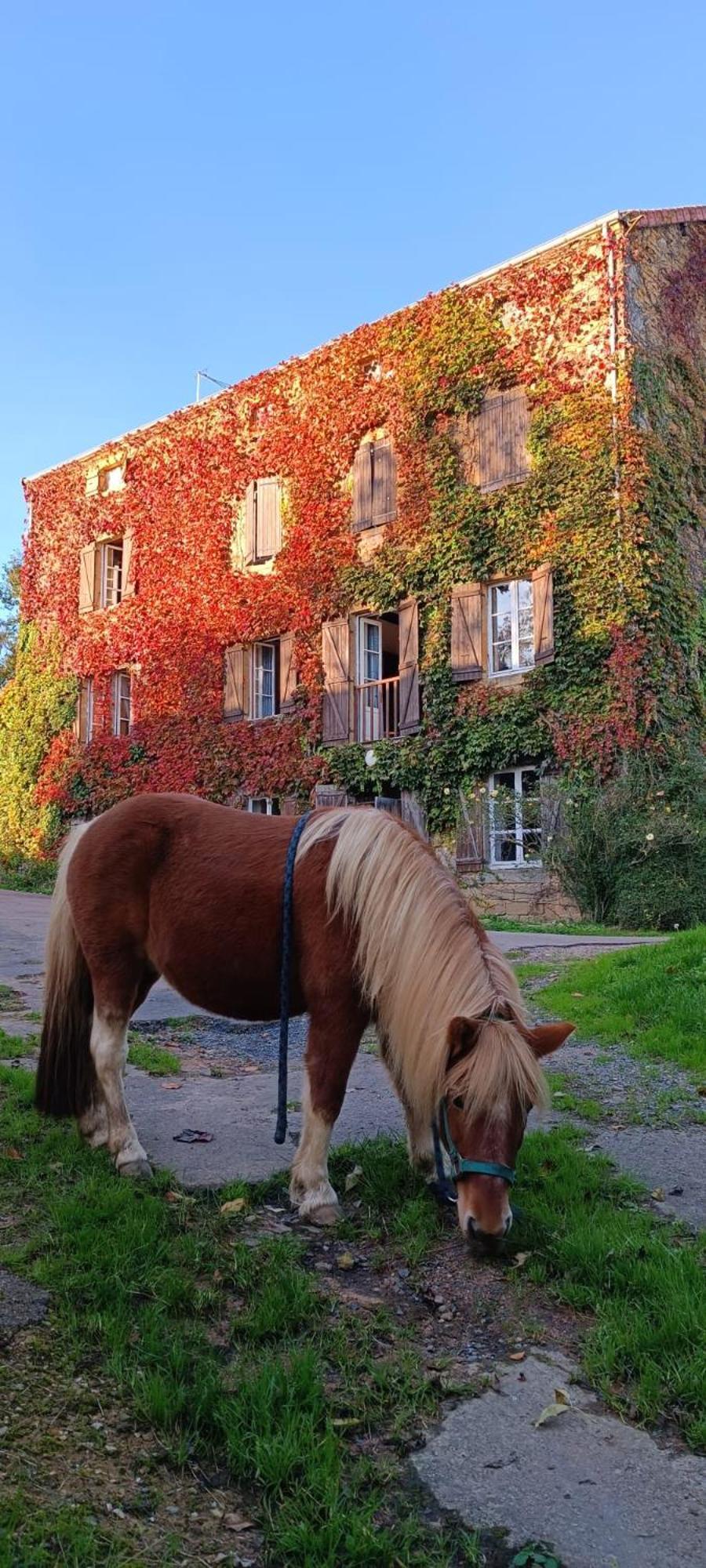Le Moulin De Vaux Bed & Breakfast Nochize Exterior photo